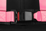 Braum Racing Harness 4 Point 2" Racing Harness - Pink